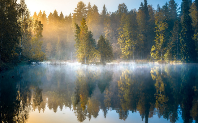 Lake foggy forest reflection autumn free wallpaper for desktop - medium preview image