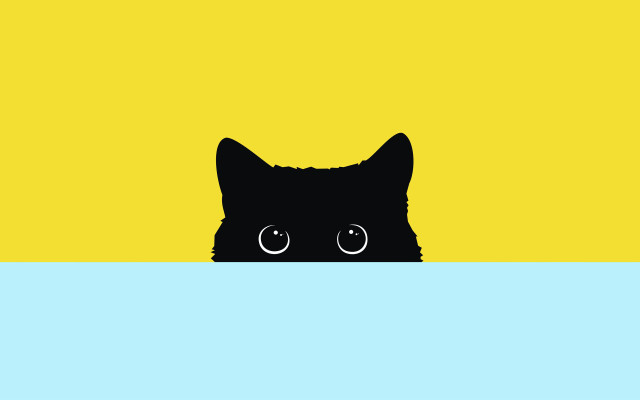 Black cat peeking blue yellow free wallpaper for desktop - medium preview image