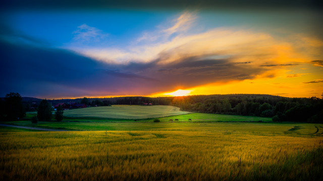 Sunset field clouds road grass free wallpaper for desktop - medium preview image