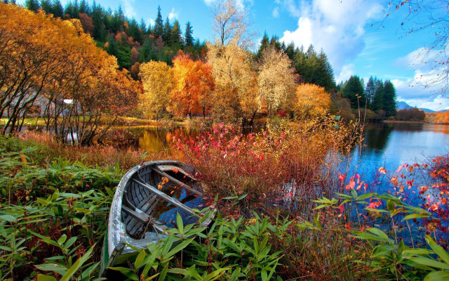 Autumn lake boat trees flower free wallpaper for desktop - medium preview image