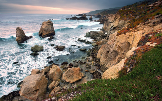 Rocky coast cloudy sky flower free wallpaper for desktop - medium preview image