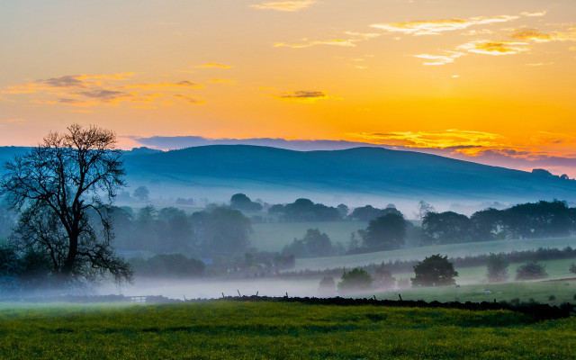 Sunset mountain tree fog beach free wallpaper for desktop - medium preview image