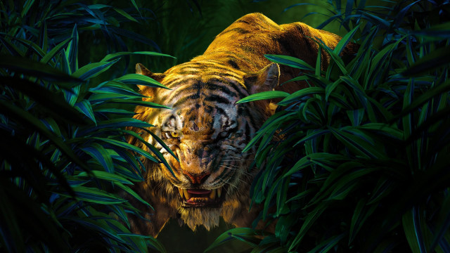 Tiger hiding jungle head out free wallpaper for desktop - medium preview image
