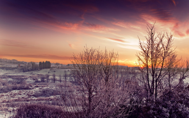 Sunset snowy field trees bushes free wallpaper for desktop - medium preview image