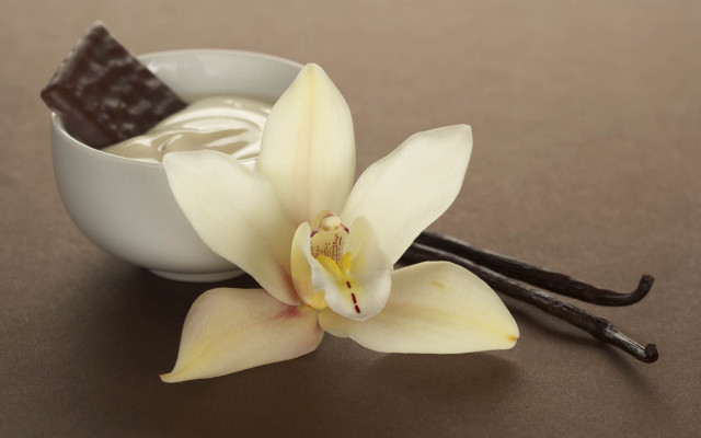 White flower chocolate bowl spoon free wallpaper for desktop - medium preview image