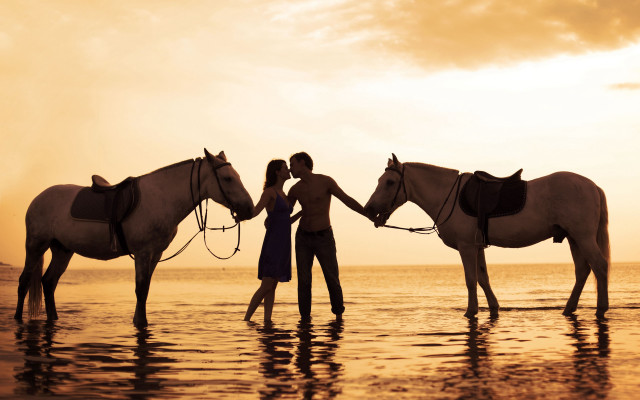 Romantic horses beach sunset silhouette free wallpaper for desktop - medium preview image