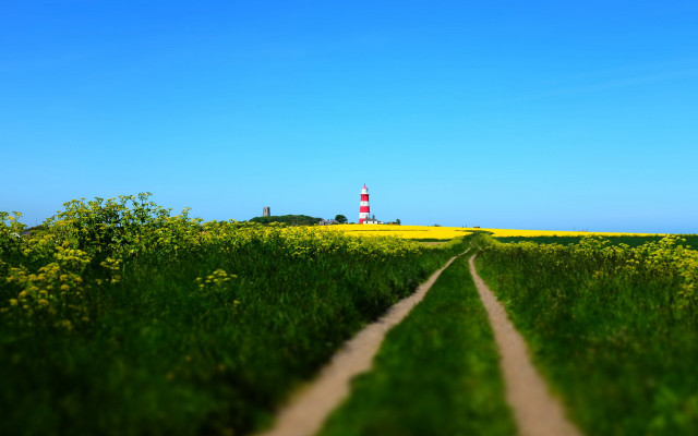 Lighthouse field yellow flowers blue free wallpaper for desktop - medium preview image