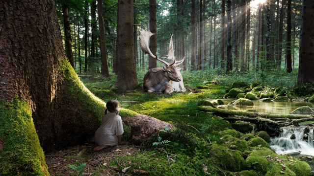 Kneeling forest deer stream magic free wallpaper for desktop - medium preview image