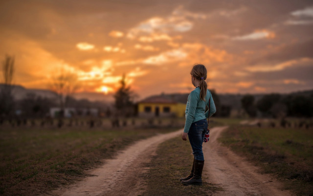 Girl sunset dirt road dog free wallpaper for desktop - medium preview image