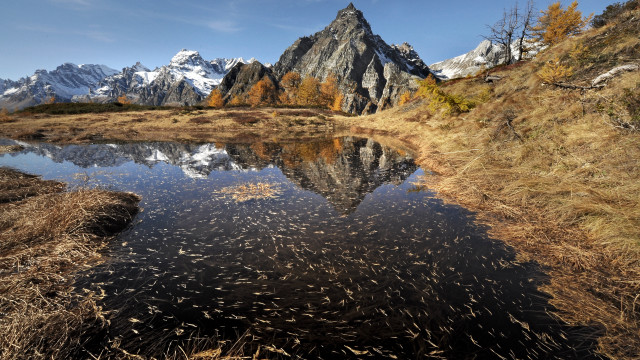 Mountain lake forest sunset birds free wallpaper for desktop - medium preview image