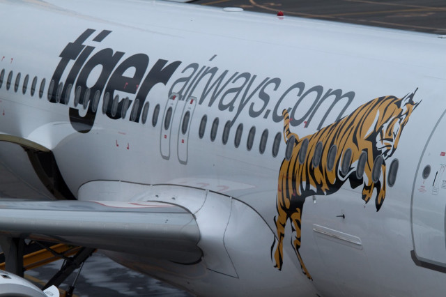 Tiger painted plane airport terminal free wallpaper for desktop - medium preview image