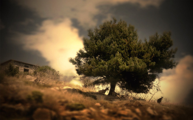 Lone tree hill building clouds free wallpaper for desktop - medium preview image