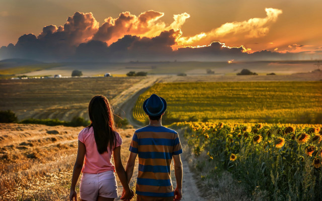 Couple walking sunflower field cloudy free wallpaper for desktop - medium preview image