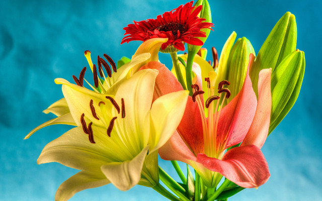 Flower vase table blue sky free wallpaper for desktop - medium preview image