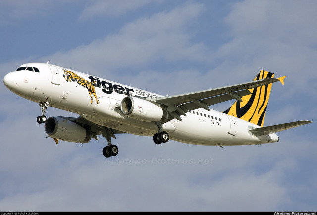 Tiger airlines plane landing gear free wallpaper for desktop - medium preview image