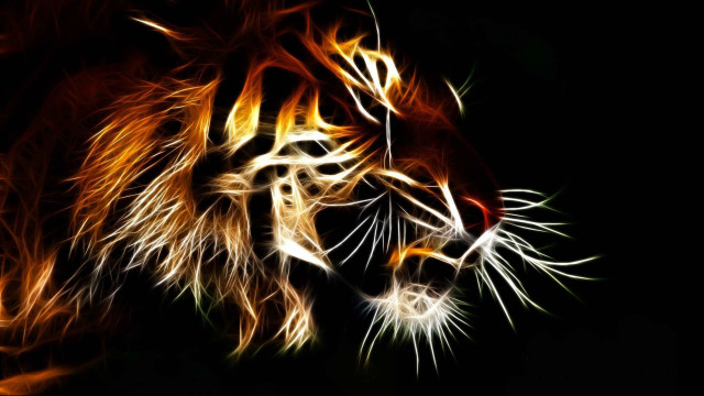 Tiger dark eyes glowing orange free wallpaper for desktop - medium preview image