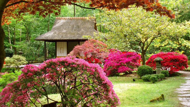 Garden gazebo flowers trees path free wallpaper for desktop - medium preview image
