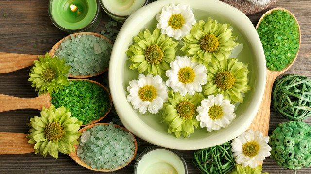 Flower candles summer vibrancy evariste free wallpaper for desktop - medium preview image