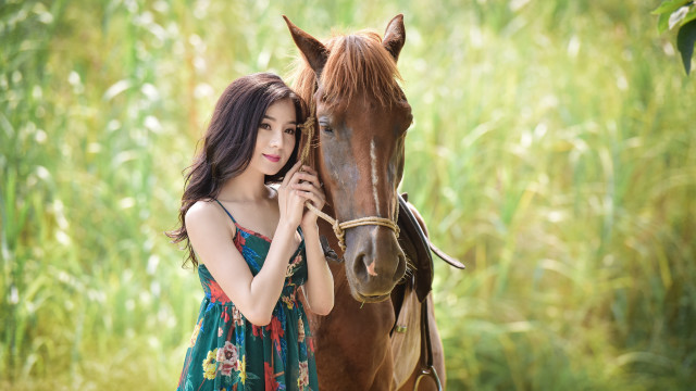 Woman horse field dress nature free wallpaper for desktop - medium preview image