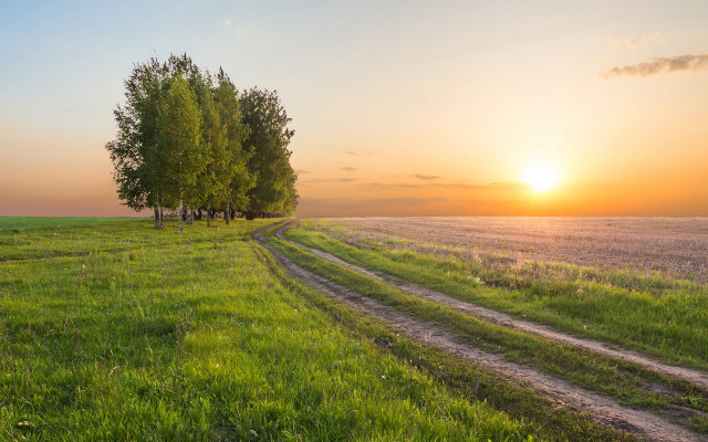 Dirt road green field sunset free wallpaper for desktop - medium preview image
