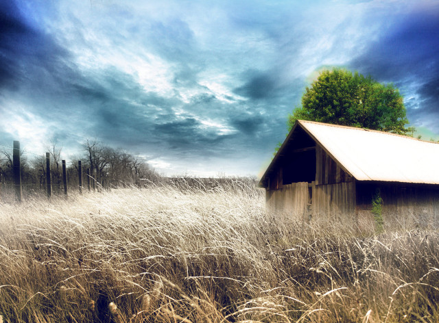 Barn tall grass cloudy sky free wallpaper for desktop - medium preview image