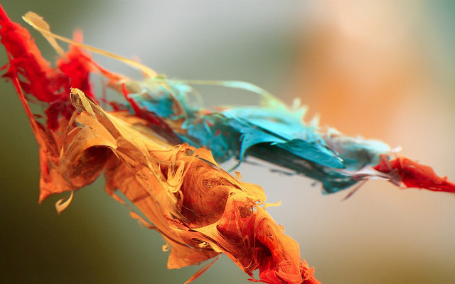 Colorful fire macro breathing flame free wallpaper for desktop - medium preview image