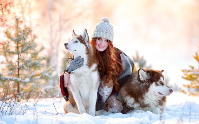 Woman dog snow autumn blurry free wallpaper for desktop - medium preview image