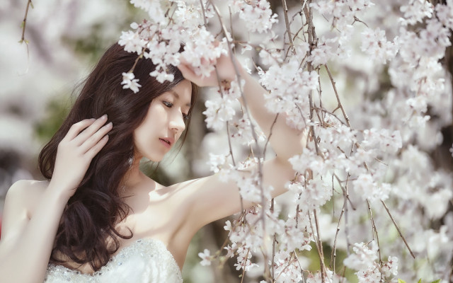 Woman smiling white dress flower free wallpaper for desktop - medium preview image