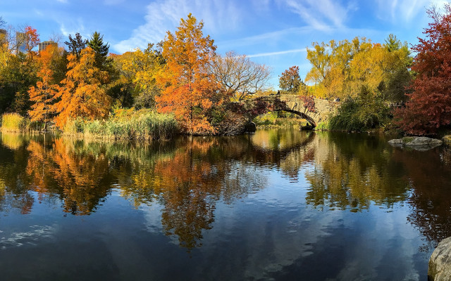 River bridge trees fall colors free wallpaper for desktop - medium preview image