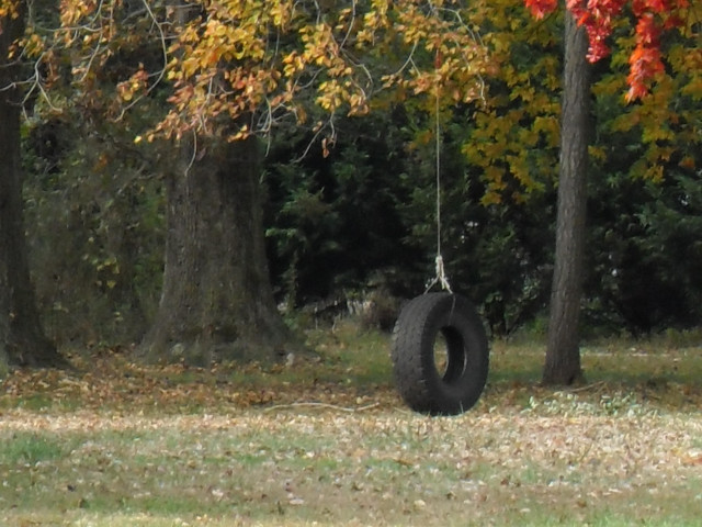 Tire swing tree park fall #2 free wallpaper for desktop - medium preview image
