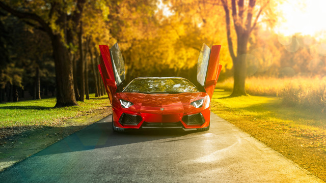 Red sports car doors open free wallpaper for desktop - medium preview image