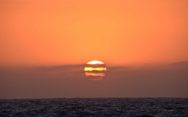 Sunset ocean boat bird sky free wallpaper for desktop - medium preview image