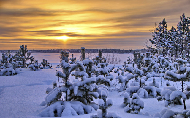 Snowy field trees sunset clouds #3 free wallpaper for desktop - medium preview image