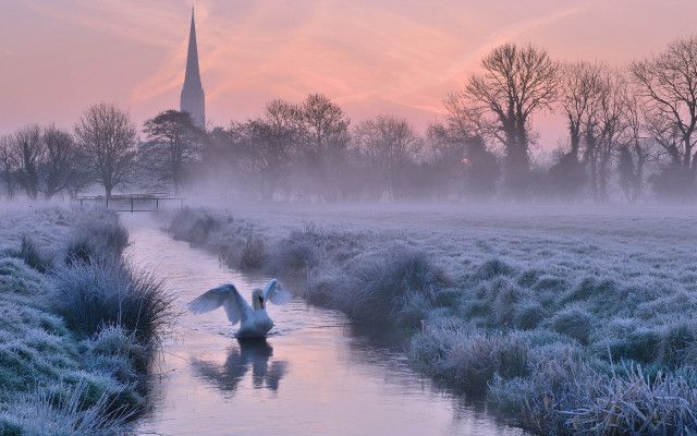 Swans river frosty field church free wallpaper for desktop - medium preview image
