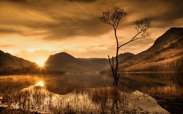 Lone tree lake sunset mountains #5 free wallpaper for desktop - medium preview image