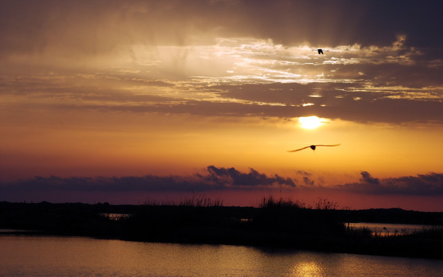 Bird sunset water lake mountains free wallpaper for desktop - medium preview image