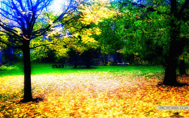 Park bench trees fall colors free wallpaper for desktop - medium preview image