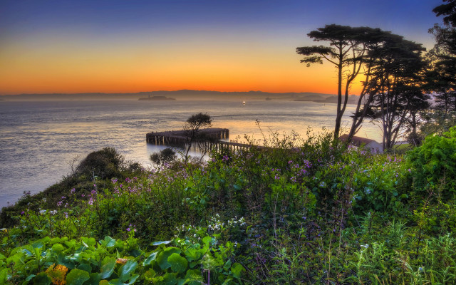 Sunset river trees bushes dock free wallpaper for desktop - medium preview image