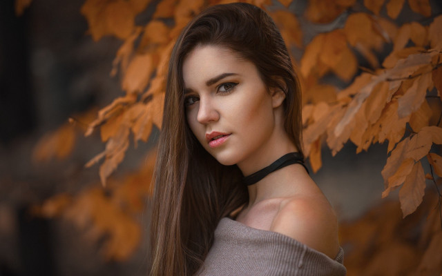 Elina karimova autumn leaves long free wallpaper for desktop - medium preview image