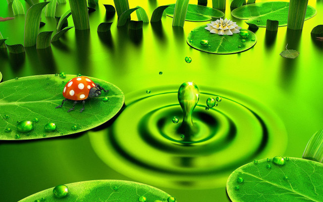 Green pond ladybug lily pads free wallpaper for desktop - medium preview image