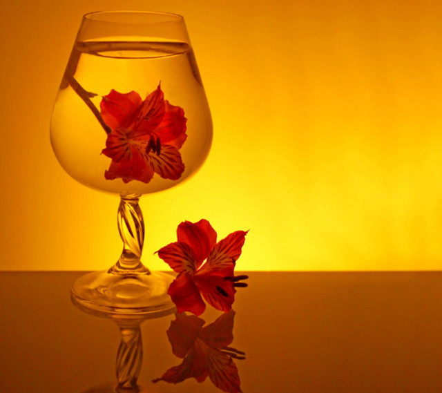 Glass water flower table yellow free wallpaper for tablet - medium preview image