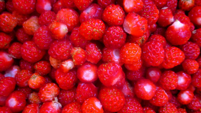 Strawberries white spots red background free wallpaper for desktop - medium preview image