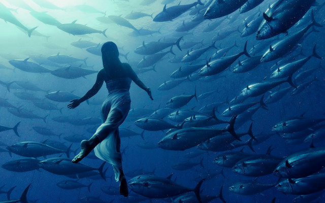 Woman fish diving ocean starry free wallpaper for desktop - medium preview image