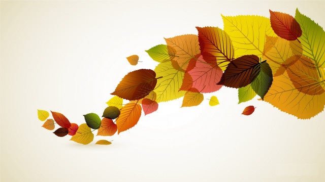 Colorful fall leaves border floral free wallpaper for desktop - medium preview image