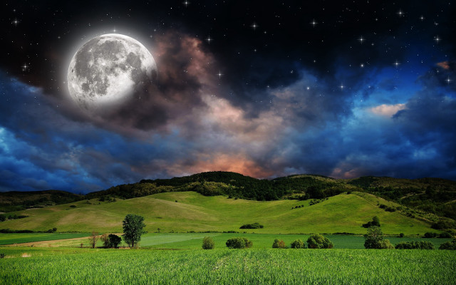 Full moon green field trees free wallpaper for desktop - medium preview image