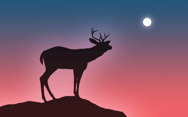 Deer silhouette hill sunset moon free wallpaper for desktop - medium preview image