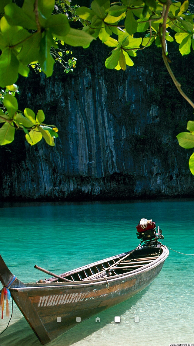 Boat beach water tree hanging free wallpaper for mobile - medium preview image