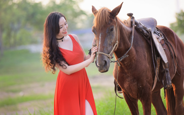 Woman red dress horse field #2 free wallpaper for desktop - medium preview image