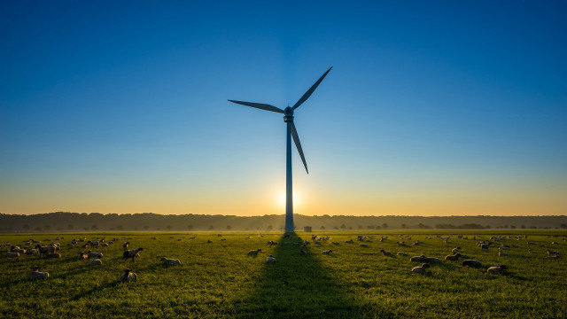 Wind turbine sheep sunset field free wallpaper for desktop - medium preview image