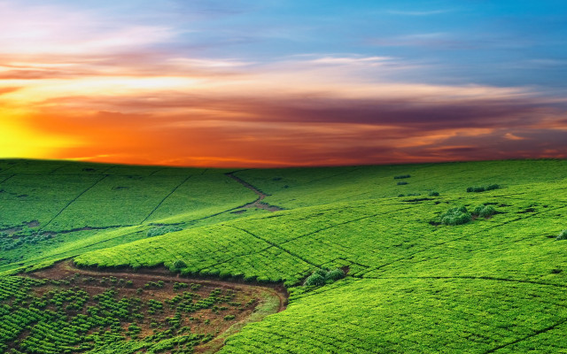 Green field sunset clouds horizon free wallpaper for desktop - medium preview image